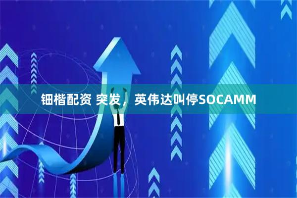 钿楷配资 突发，英伟达叫停SOCAMM